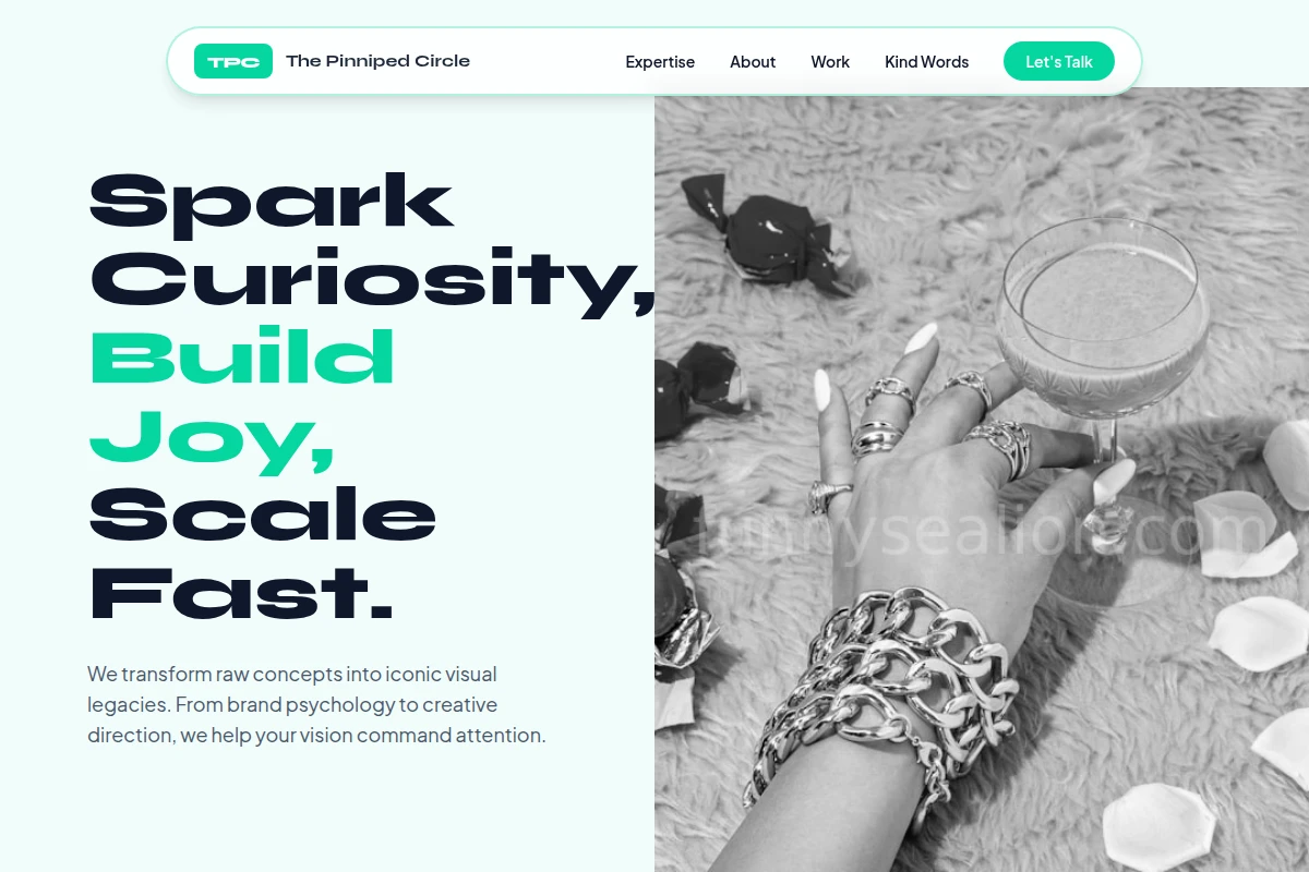 Bark Creative Direction