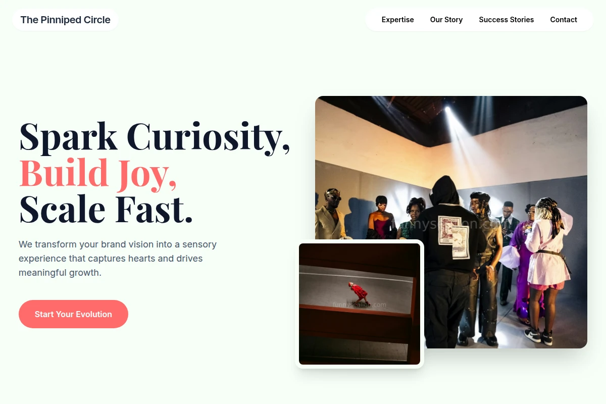 Dive Creative Direction