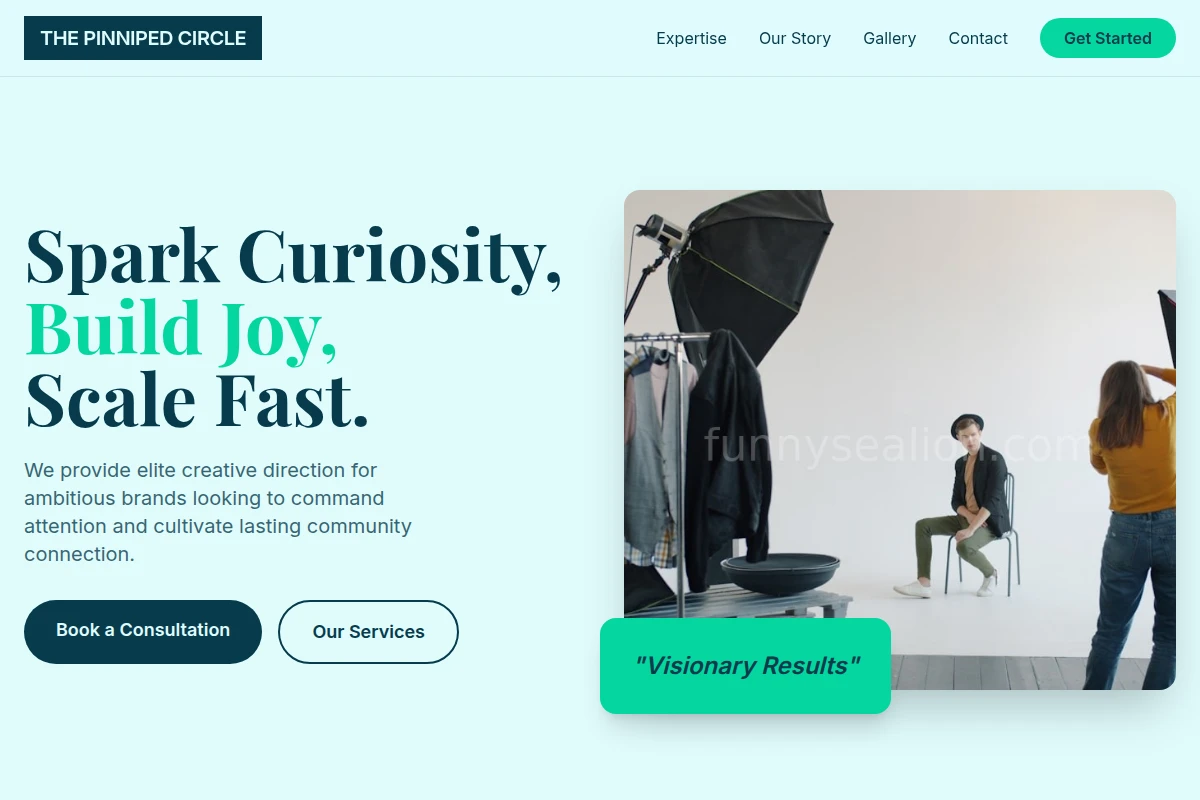 Surge Creative Direction